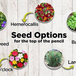 Lápiz de semillas plantables para invitados de boda, recuerdos ecológicos personalizados, lápiz de agradecimiento personalizado para boda. imagen 4