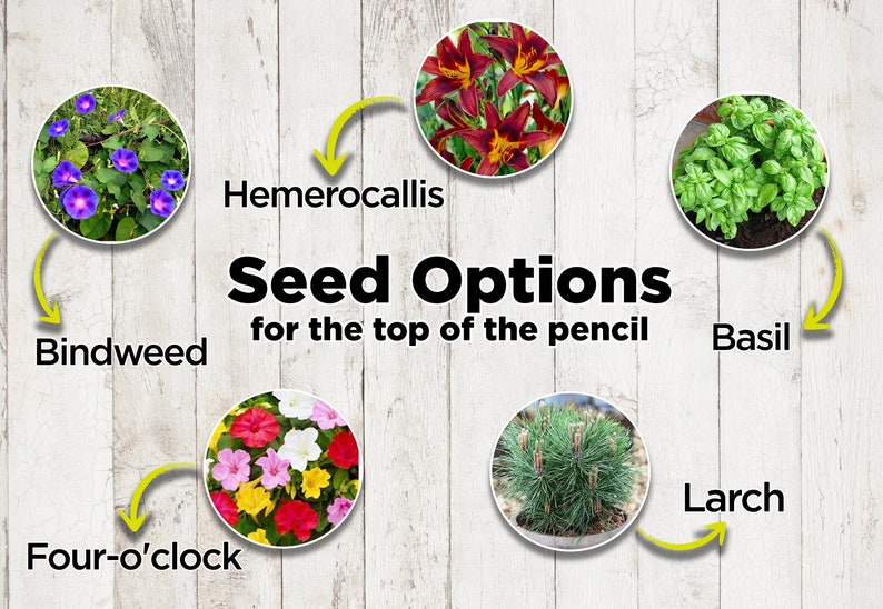 Lápiz de semillas plantables para invitados de boda, recuerdos ecológicos personalizados, lápiz de agradecimiento personalizado para boda. imagen 4