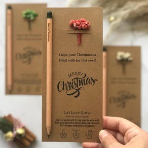 Matite natalizie all'ingrosso, regali economici per le feste di Natale, matite natalizie con semi, regali ecologici per le feste, regali di Natale