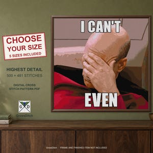 Picard Facepalm - I Can't Even Meme Cross Stitch Pattern PDF - Choose Your Size 100x96-500x481