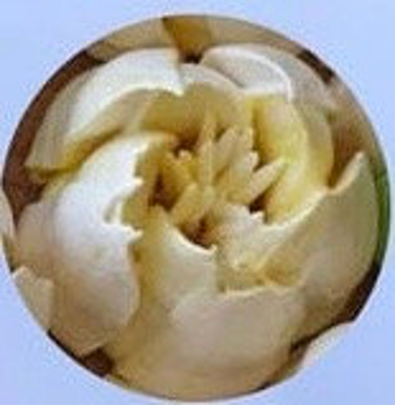Boquilla de tulipán de repostería grande para una impresionante decoración de pasteles Consejos para glaseado de cupcakes y malvaviscos imagen 8