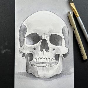 Teschio. Schizzo originale a tecnica mista su carta da acquerello. Opera unica nel suo genere. 25x15 cm. Disegnato a mano dall'artista Adam Sargent/Sketch Cowboy.