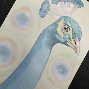 Pavone. Uccello maestoso. Acquerello originale su carta. Opera unica nel suo genere. 25x15 cm. Dipinto a mano dall'artista Adam Sargent/Sketch Cowboy.