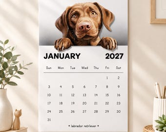 May include: A wall calendar for January 2027 featuring a brown Labrador retriever illustration at the top. The calendar displays the month name, year, days of the week, and dates from 1 to 31 in black text on a white background with the text labrador retriever.