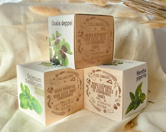 Personalized ecocube School is over - teacher gift, master, ATSEM or AVS