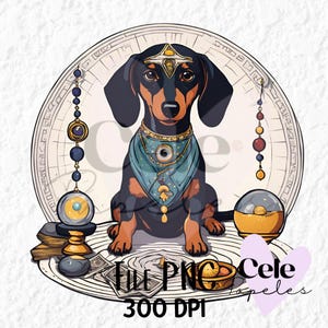 perro salchicha tarot, perro salchicha cartas, esoterismo, brujas, clipart, png, tshirt