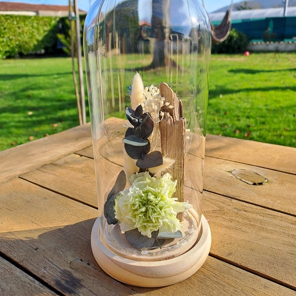 Cloche en verre nature