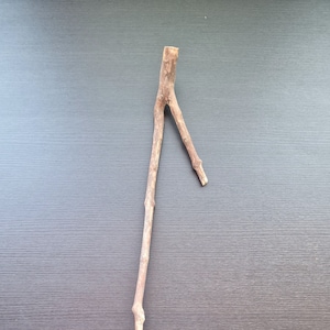 May include: A brown twig with a Y-shaped branch. The twig is about 12 inches long and is lying on a dark gray surface.