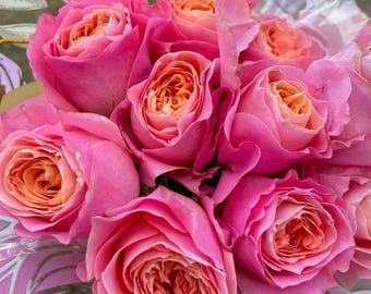 May include: A bouquet of pink roses with peach-colored centers. The roses are in full bloom, with multiple layers of petals. The arrangement is wrapped in a decorative, patterned paper.