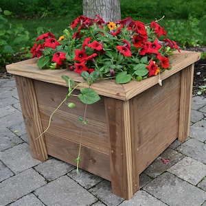 Verhoogde plantenbak - cederkleurige doe-het-zelf plantenbakplannen voor buiten