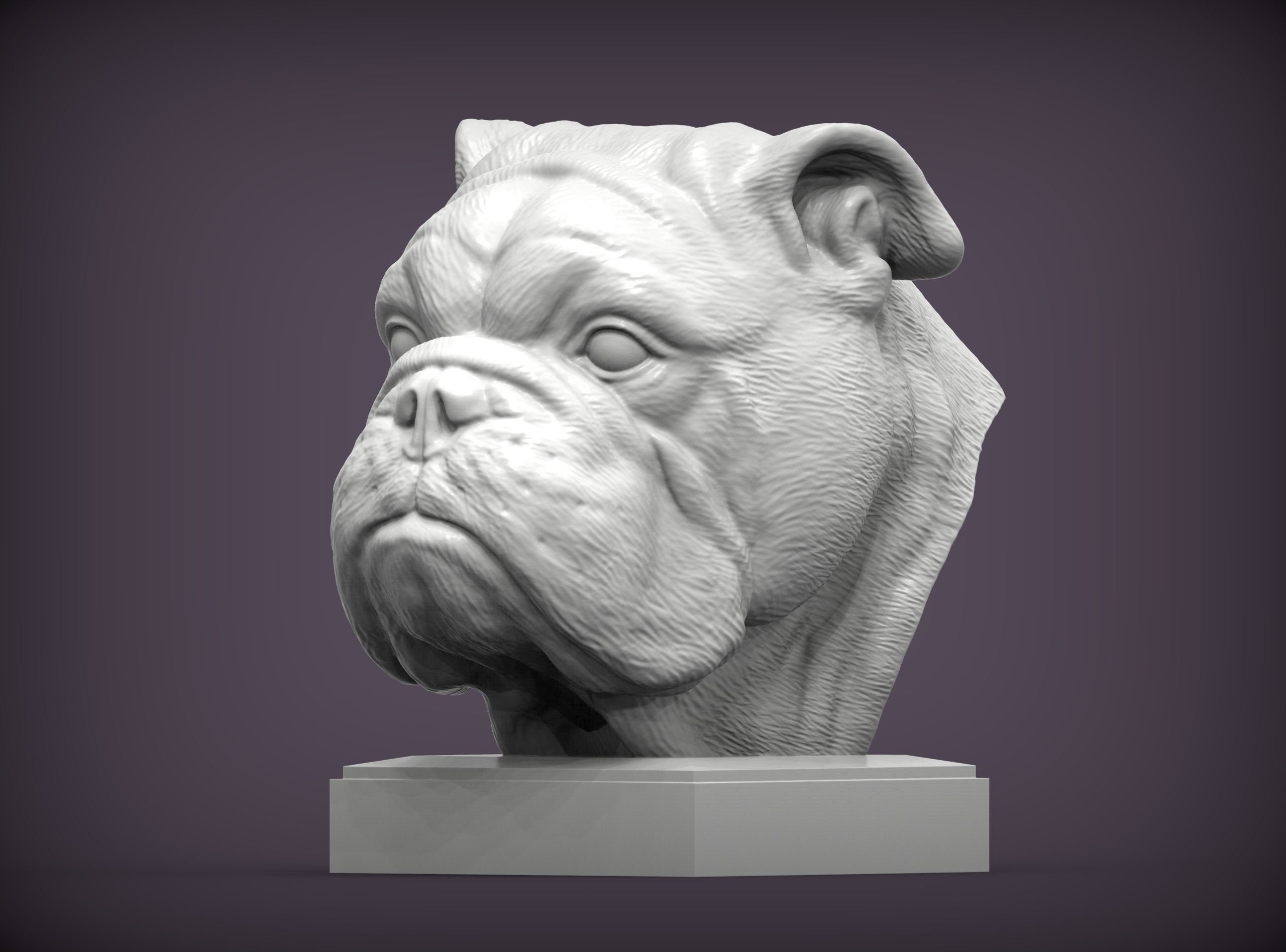 Bulldog statue - .de