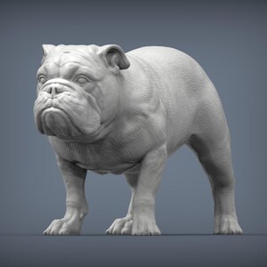 English Bulldog Dog Bust, Dog Figurine, Dog Statue, Dog Lover Gift, Dog Sculpture, Dog Memorial, Dog Head Art, Dog Home Decoration