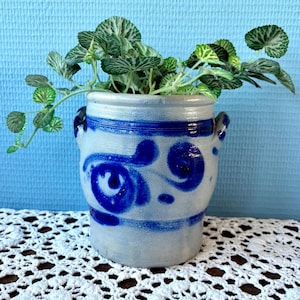 Op de afbeelding: Een kleine, blauw-witte keramische plantenbak met een decoratief wervelontwerp, met een groene bladplant. De plantenbak heeft twee kleine handvatten en staat op een wit kanten kleedje. De achtergrond is lichtblauw.