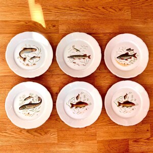 Sechs Porzellan Fischteller Limoges Frankreich