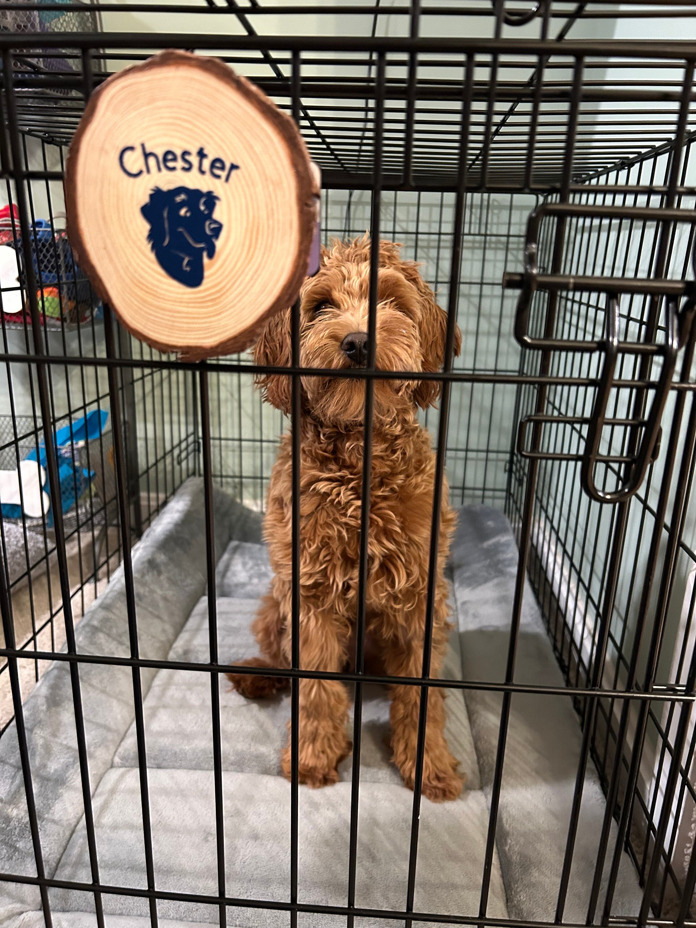 Picture of Hand Painted Dog Crate Name Tag - Etsy