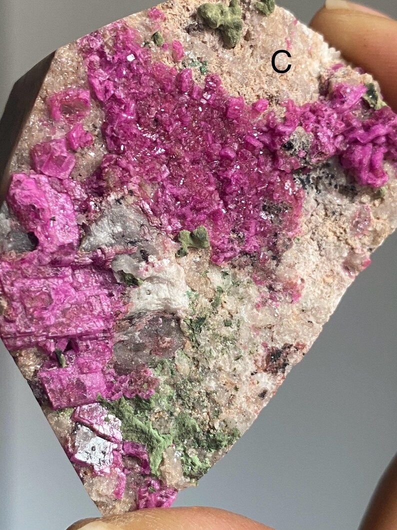 Może przedstawiać: Zbliżenie okazu mineralnego z żywymi, magentowymi formacjami krystalicznymi. Minerał osadzony jest na tle beżowych i zielonych odcieni, z widoczną literą "C" na powierzchni. Okaz trzymany jest w dłoni.