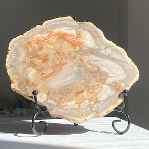 May include: A polished petrified wood slab with a natural, organic shape. The stone features bands of beige, cream, and orange hues. It is displayed on a black metal stand, showcasing its unique patterns and textures. A decorative piece for home decor.