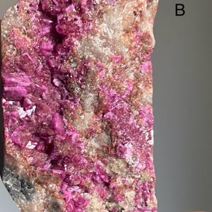 Może przedstawiać: Zbliżenie okazu mineralnego z żywymi, magentowymi formacjami krystalicznymi. Minerał osadzony jest na tle beżowej i szarej skały, z literą "B" widoczną w prawym g&oacute;rnym rogu.
