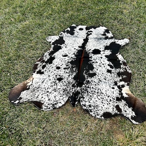 以下が含まれることがあります： 黒と白の斑点模様が特徴的なカウハイドラグ。ラグは不規則な形状で、濃い茶色の縁と中央に赤茶色の縫い目があります。緑の草の上に展示されています。