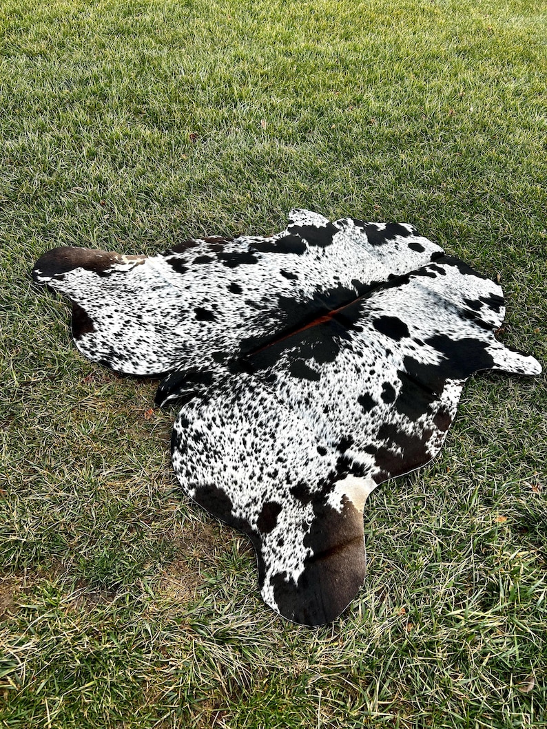 以下が含まれることがあります： 黒と白の斑点模様の天然模様の牛革ラグ。 ラグは不規則な形をしており、緑の草の上にあります。 ラグの端は濃い茶色です。
