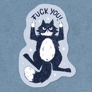 Autocollant en vinyle « Fuck You » Cat – Autocollant de déclaration | Va-t'en, va te faire foutre, autocollant | Autocollant FCK | Autocollants Chat effronté | amoureux des chats