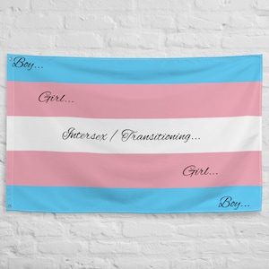 Creative Transgender Pride Flag With &quot;Know Your Flag&quot; Details (3ft x 5ft) (36in x 60in)