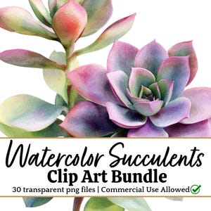 Succulent CLIPART Cactus PNG Watercolor Plant Botanical Greenery Illustration for Sticker Desert Wall Art Branding DIY Project Southwest
