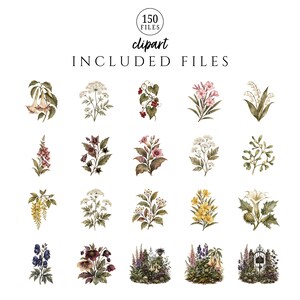 May include: A digital collection of 150 clipart files featuring botanical illustrations of various flowers, plants, and garden scenes. The set includes individual floral stems, clusters, and detailed landscape vignettes in muted, natural color tones.