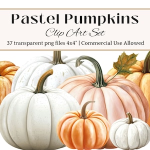 Pastel pompoen CLIP ART zacht en stijlvol herfstafbeelding schattig pompoen illustratie herfst pastel digitale download afdrukbare herfst Crafting clipart