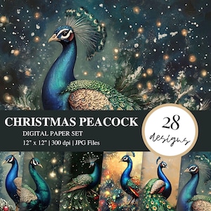May include: A digital paper set featuring a Christmas peacock theme. The image showcases a vibrant peacock with blue, green, and brown plumage against a dark, snowy background. The set includes 28 designs, each 12 x 12 inches.