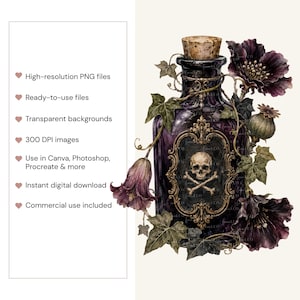 May include: A dark purple glass apothecary bottle with a cork stopper, featuring an ornate gold frame containing a skull and crossbones illustration, surrounded by dark purple flowers, green ivy leaves, and a seed pod on a light background.