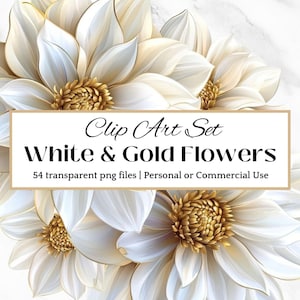 Weiß Floral CLIPART Blumen Overlay Weiß Rose Clipart Weiß Pfingstrose Clipart Magnolie PNG Pfingstrose Clipart Creme Floral Gänseblümchen Clipart Gold Floral