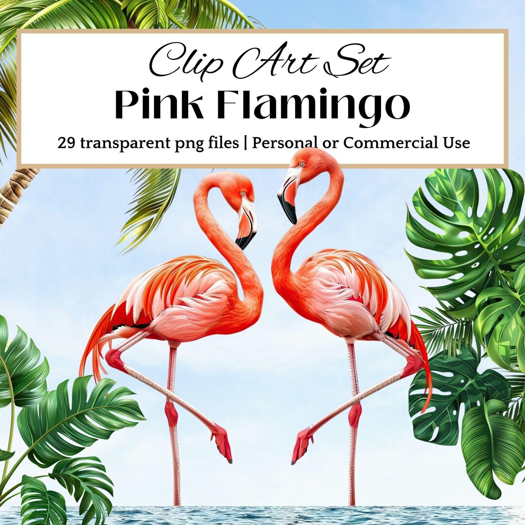 Watercolor Flamingo Clipart Pngs: Tropical Bird Graphics (digital ...
