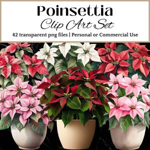 Poinsétia CLIP ART Festivo Floral Gráfico Decoração de Natal PNG Download instantâneo Elemento de Scrapbooking DIY Decoração de Natal Imagem de Flor Sazonal