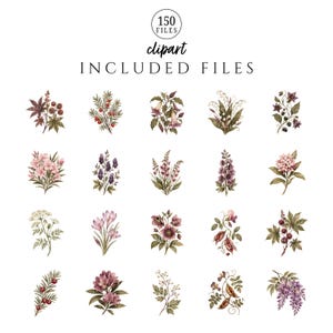 May include: A digital collection of 150 clipart files featuring various botanical illustrations. The set includes detailed drawings of flowers, berries, and foliage in muted tones of pink, purple, green, and brown, arranged in a grid format.