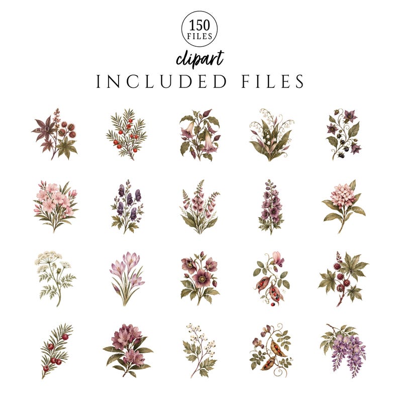 May include: A digital collection of 150 clipart files featuring various botanical illustrations. The set includes detailed drawings of flowers, berries, and foliage in muted tones of pink, purple, green, and brown, arranged in a grid format.