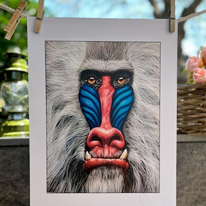 Stampa d autore-Mandrillo-su carta-realizzato a mano-scimmia selvatica-Arte-design-colori vivaci-animali e natura-quadro per parete-arredo
