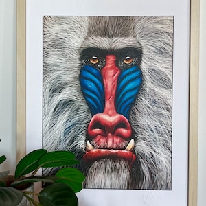 Stampa d autore-Mandrillo-su carta-realizzato a mano-scimmia selvatica-Arte-design-colori vivaci-animali e natura-quadro per parete-arredo