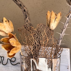 Natural Desert Bouquet of Dried Cactus for Centerpieces, Floral Arrangement, and Unique Home Decor