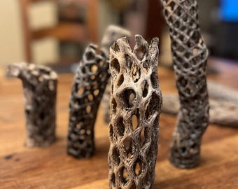 Cholla Cactus Skeleton Cuts, teddy bear cholla - choose your size!