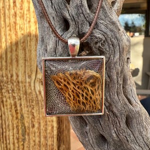 May include: A square pendant necklace with a brown, dried, and preserved cactus flower encased in clear resin. The pendant is attached to a brown leather cord.