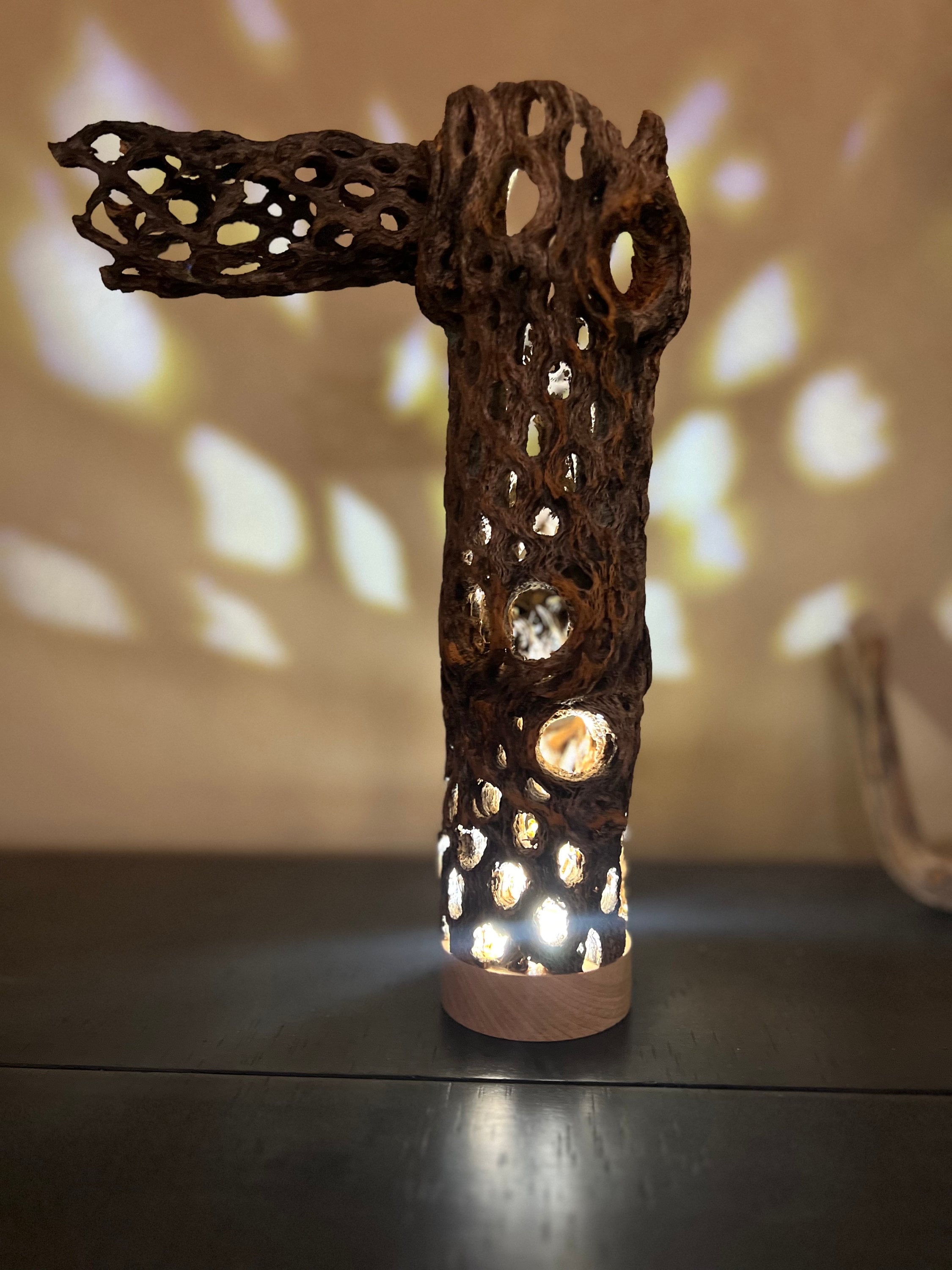 Cholla Cactus Skeleton LED Light, Rustic Night Light, Mood