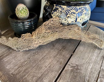 Large Prickly Pear Cactus Lace Sheet: Natural Art Supply, Eco Crafts