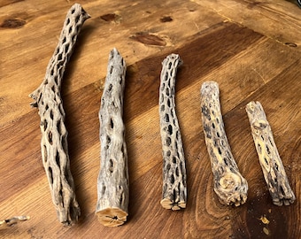 Cholla Cactus Skeleton Cuts, buckhorn cholla - choose your size!
