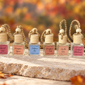 Fall Scents Refillable Car Diffuser, Hanging Car Air Freshener, Long-Lasting Car Scent, Choice of Fragrance