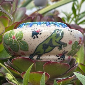 May include: A small, round ceramic pot with a beige speckled finish. The pot is decorated with a large green frog, small red and blue insects, and floral designs. The rim has a blue and white patterned border. The pot is surrounded by green and red succulent plants.