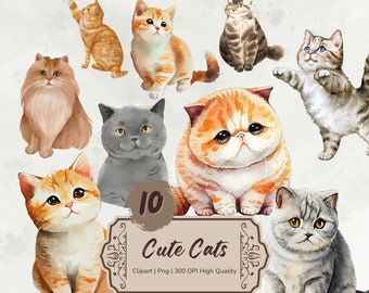 Söta katter clipart paket, katter akvarell clipart, djur clipart, katter png transparent, korttillverkning, kommersiell användning, digital nedladdning