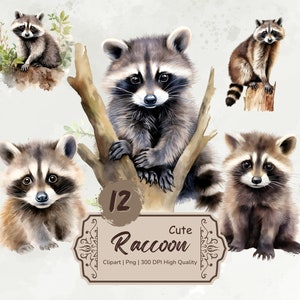 Watercolor Raccoon Clipart, Cute Raccoon Png, Floral Raccoon Stickers, Animals Clipart Bundle, Card Making, Mixed Media,Digital Download