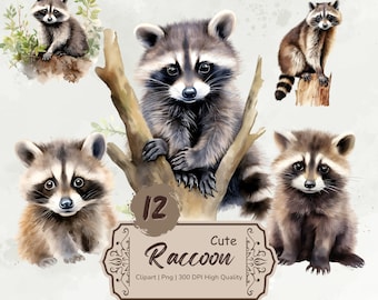 Watercolor Raccoon Clipart, Cute Raccoon Png, Floral Raccoon Stickers, Animals Clipart Bundle, Card Making, Mixed Media,Digital Download
