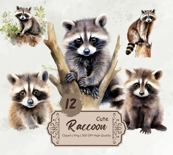 Watercolor Raccoon Clipart, Cute Raccoon Png, Floral Raccoon Stickers, Animals Clipart Bundle, Card Making, Mixed Media,Digital Download